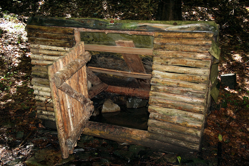 studánka U osady Grizzly (3785) - srpen 2010