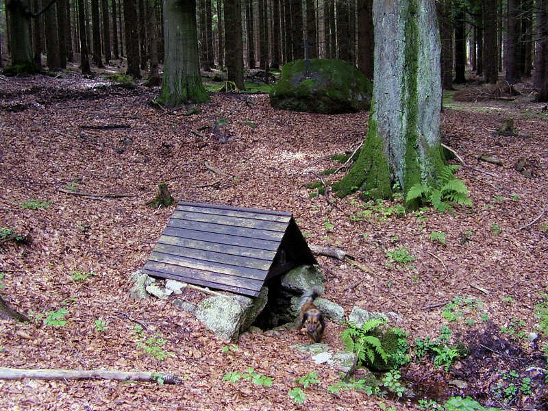 studánka Vlasta (3802) - srpen 2010