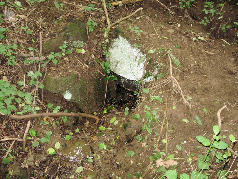 studánka bez jména (3812) - srpen 2010