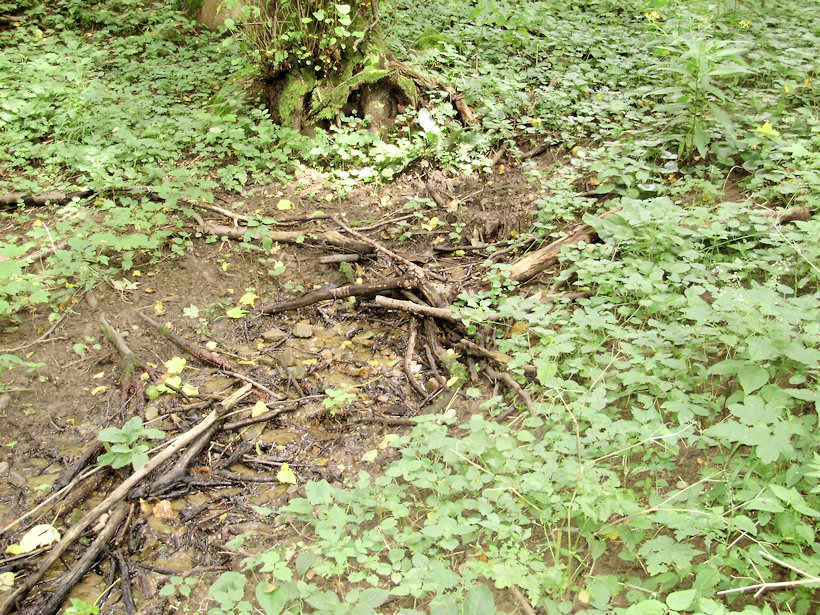 pramen U houbaře (3815) - srpen 2010