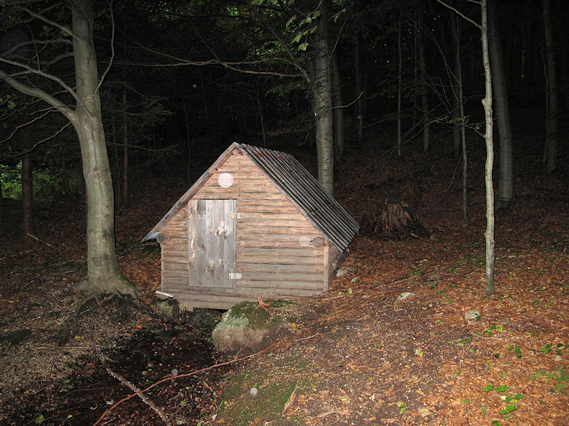 studánka U bývalé Skelné Hutě (3831) - srpen 2010