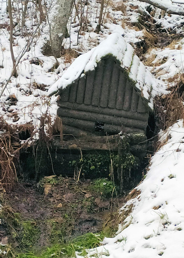studánka Čeňkova Pila (3845) - leden 2022