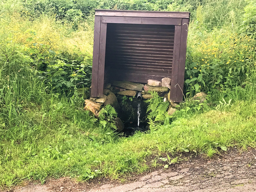 studánka Na Prízlově kopci (3885) - červenec 2021