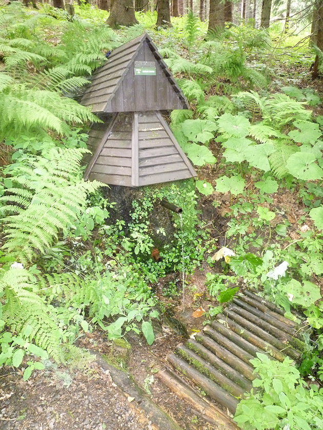 studánka Na Hadinci (3888) - srpen 2010