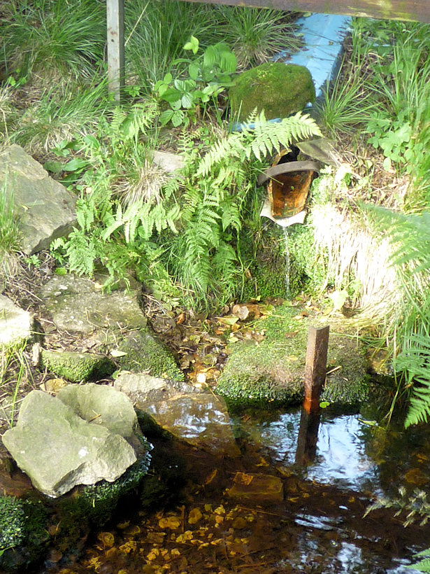 studánka Pod kapličkou (3893) - srpen 2010