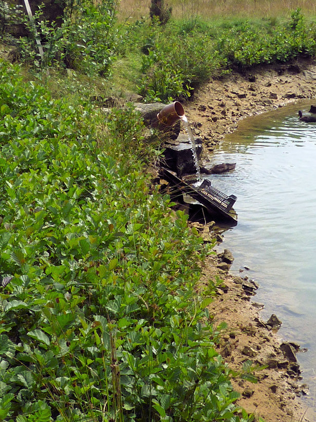 studánka Nad rybníčky (3894) - srpen 2010