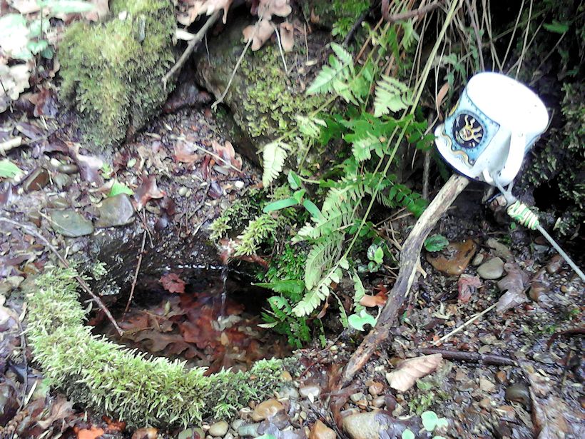 studánka Čtyřlístek (3908) - datum neznámé