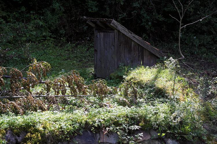 Studánka Bacov (3920) - srpen 2010