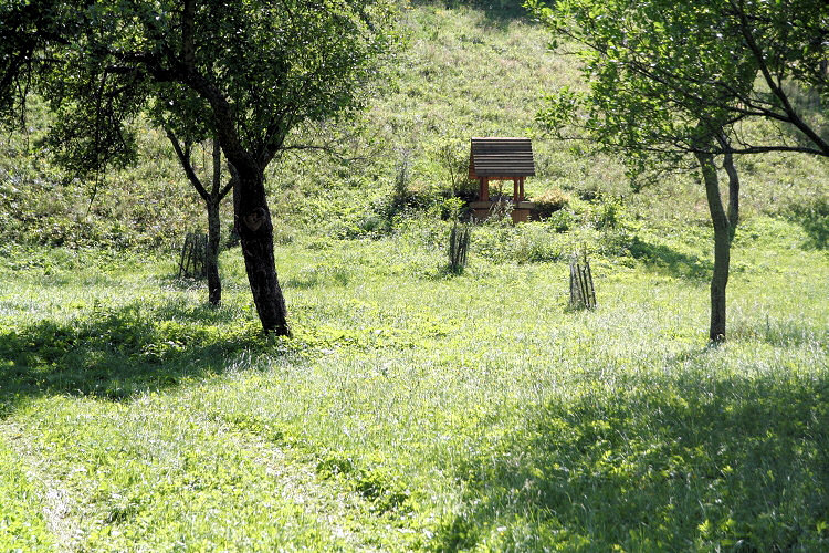 Studna Velká Stanovnice (3925) - srpen 2010