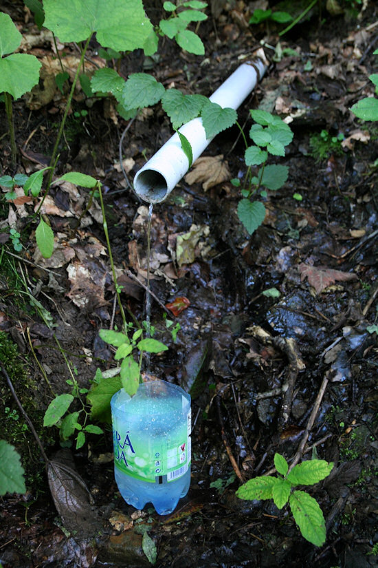 pramen V údolí Hanzlůvky (3927) - srpen 2010