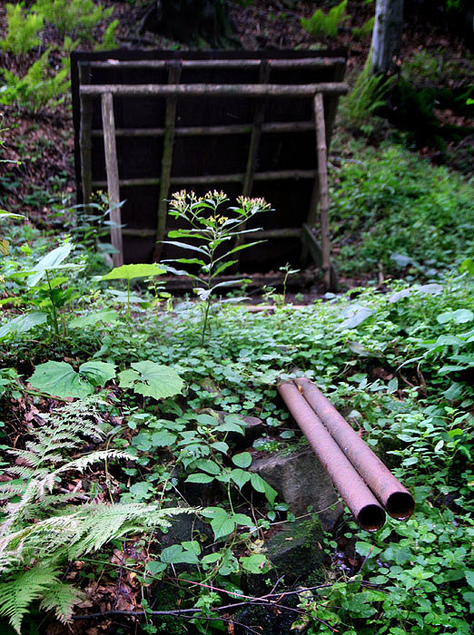 studánka Na Trojačce (3931) - srpen 2010