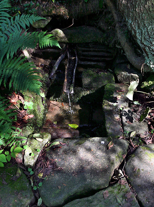 Vlastina studánka III (3937) - srpen 2010