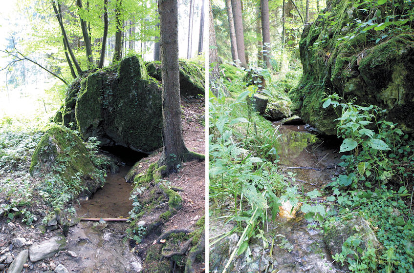 vyvěračka Pod Zítkovou skálou (3963) - září 2010