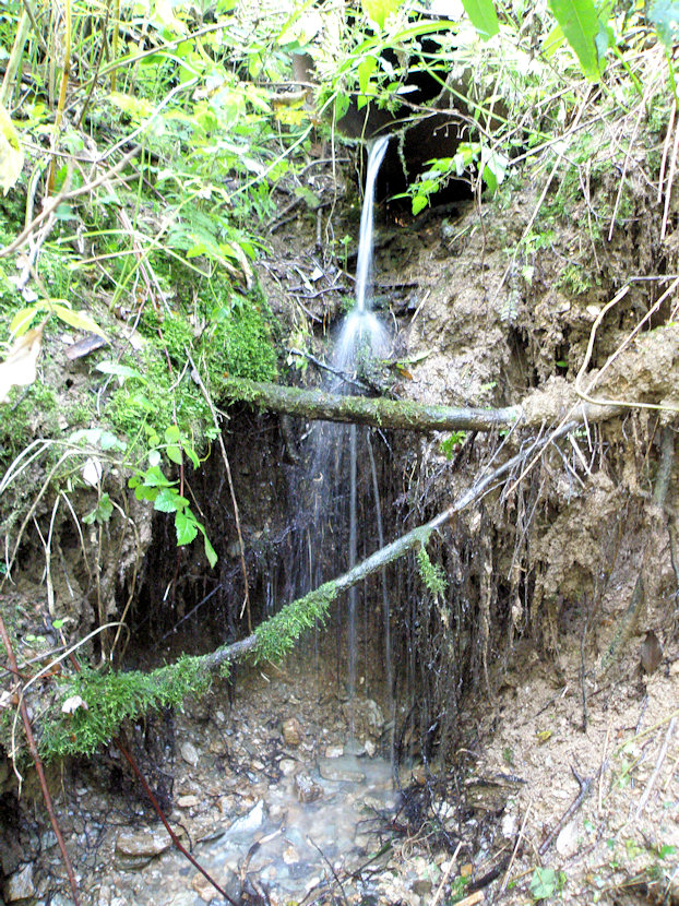 prameniště Pod Končinami (3964) - září 2010