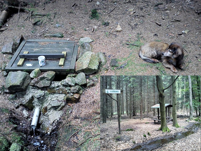 studánka U střelnice (3979) - datum neznámé
