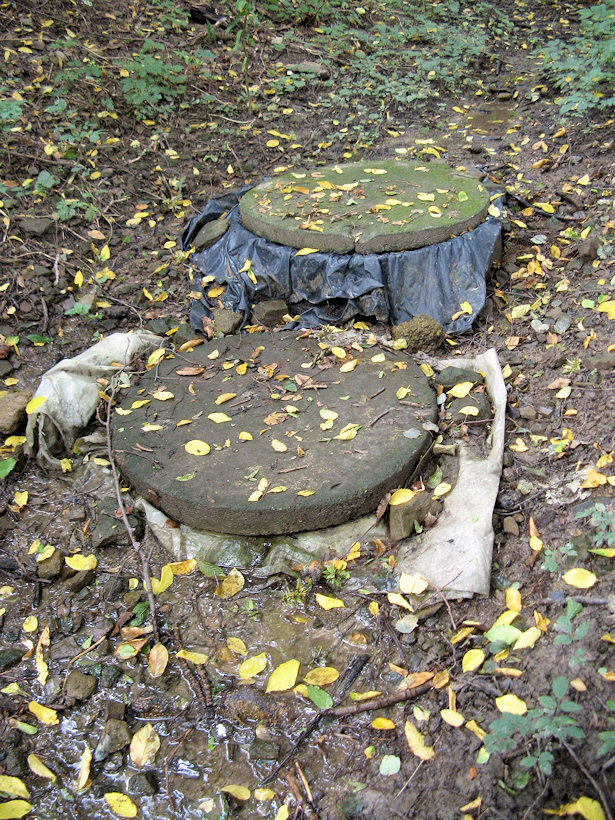 Pramen ve Všetičkové skále (3990) - září 2010