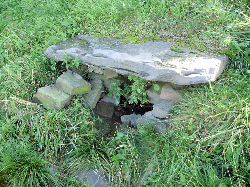 studánka Na mezi (4005) - září 2010