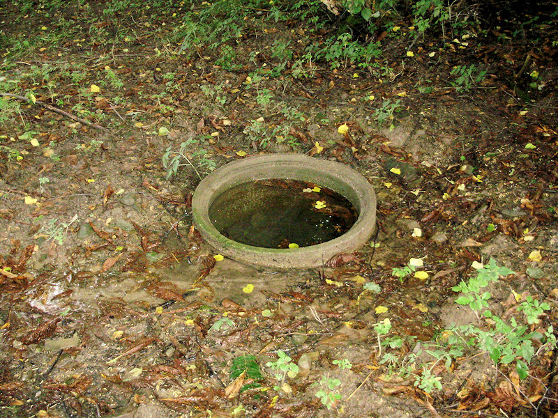 studánka U jezírka (4020) - září 2010