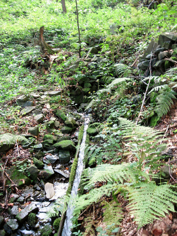 pramen V Jedličí (4041) - září 2010