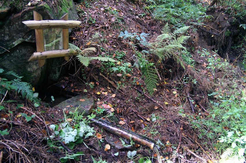 studánka Medvědí pramen (4044) - září 2010