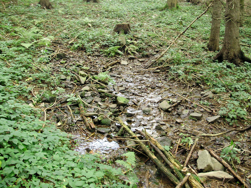 prameniště bez jména (4070) - říjen 2010