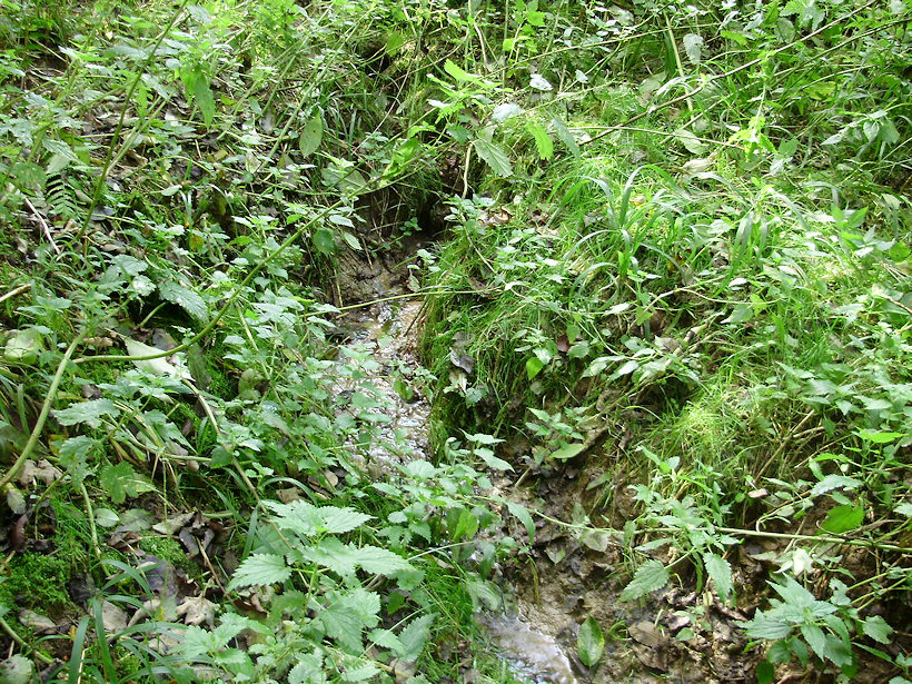 pramen bez jména (4072) - říjen 2010