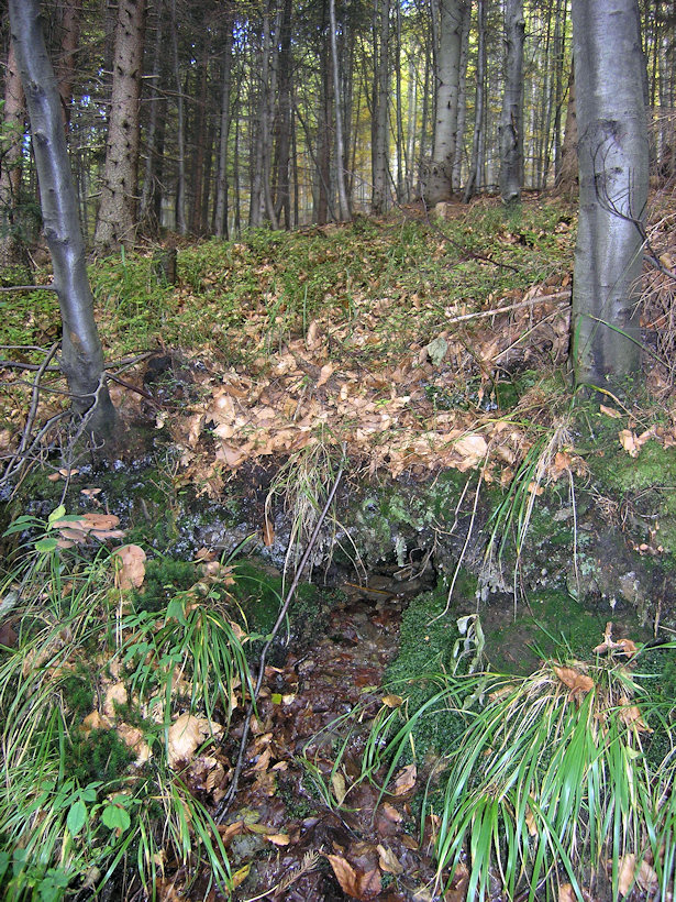 studánka Na Padové (4089) - říjen 2010