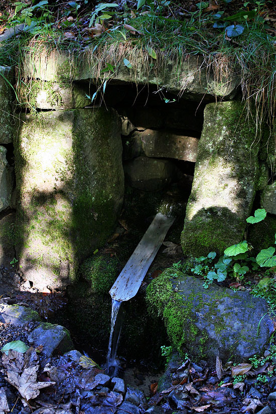 studánka Kyvňačky (4104) - říjen 2010
