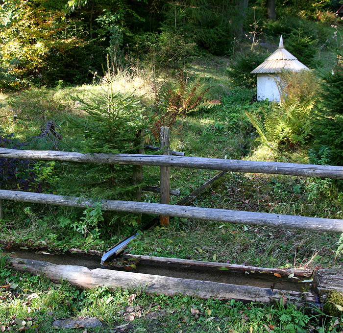 studánka Babská (4107) - říjen 2010