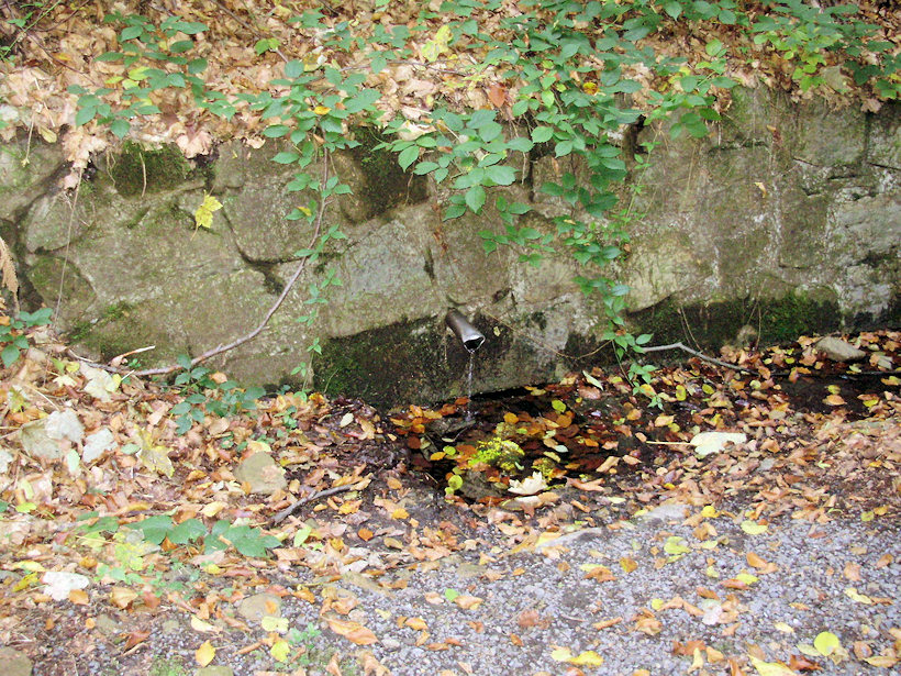 pramen Na Kozlůvkách (4136) - říjen 2010
