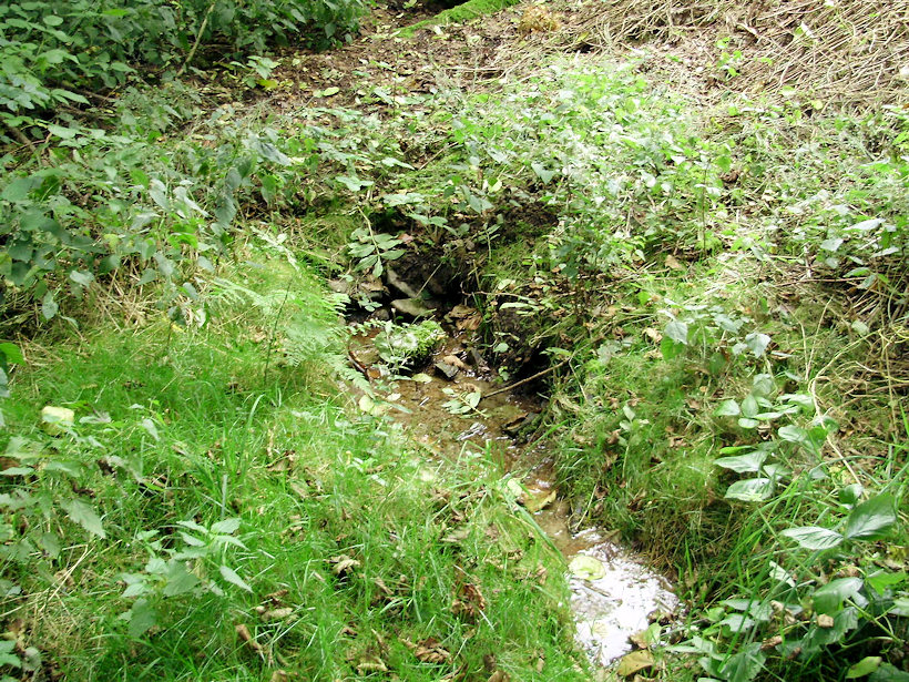 pramen V pastvině (4137) - říjen 2010