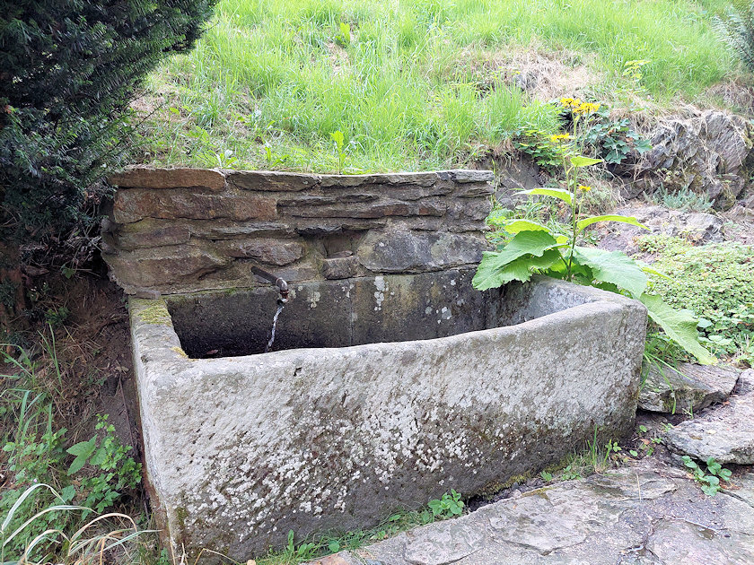 studánka Jelenka (4149) - srpen 2022