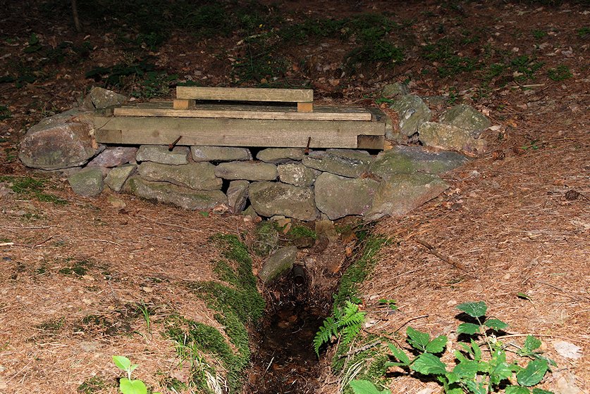 studánka V jezevčinách (4161) - říjen 2010