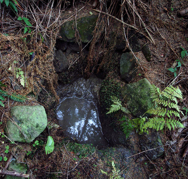 studánka Pod Hážovkami (4175) - listopad 2010