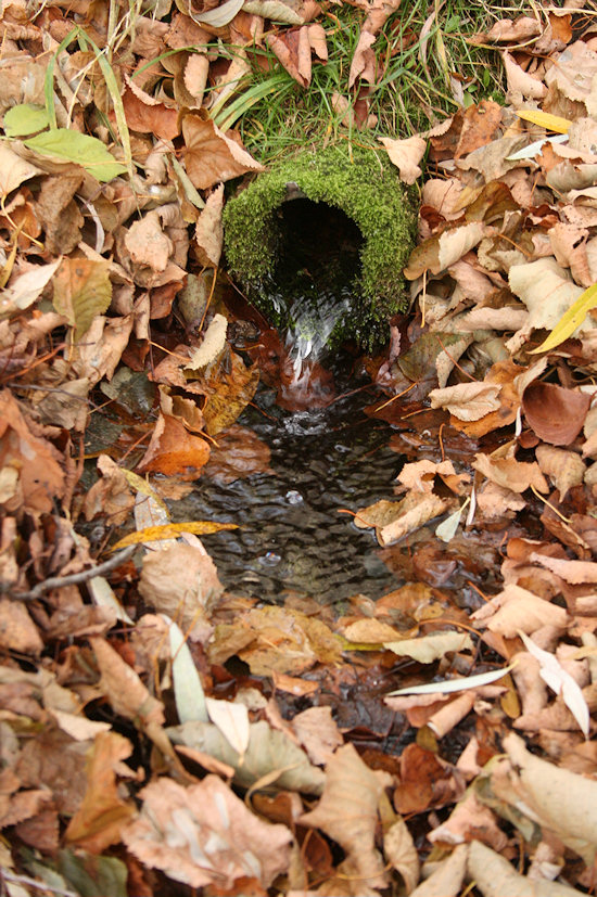 Studánka v Olšinkách (4186) - duben 2011