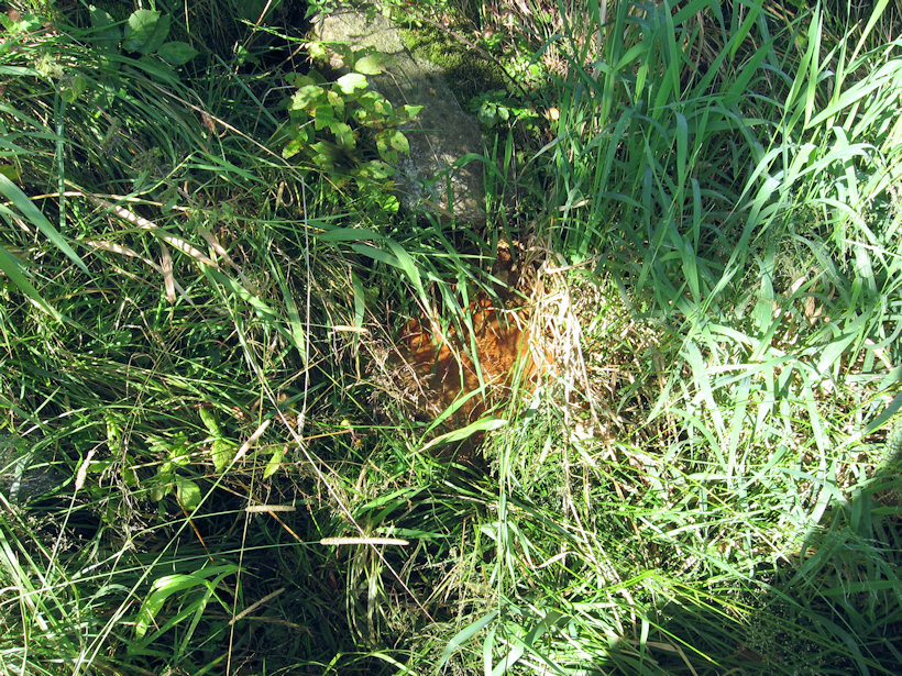 jiný vodní zdroj sv. Maří Magdaleny (4194) - listopad 2010