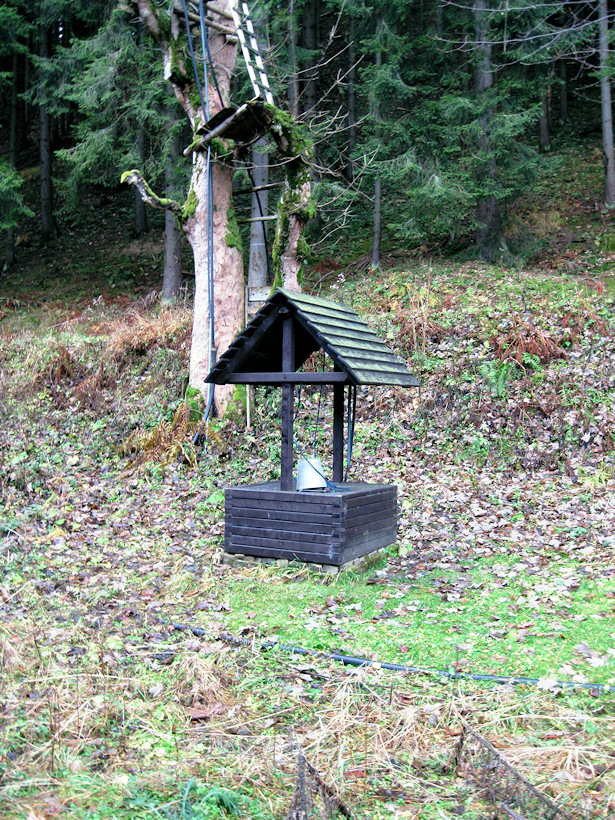 studánka U Bořuty (4197) - listopad 2010