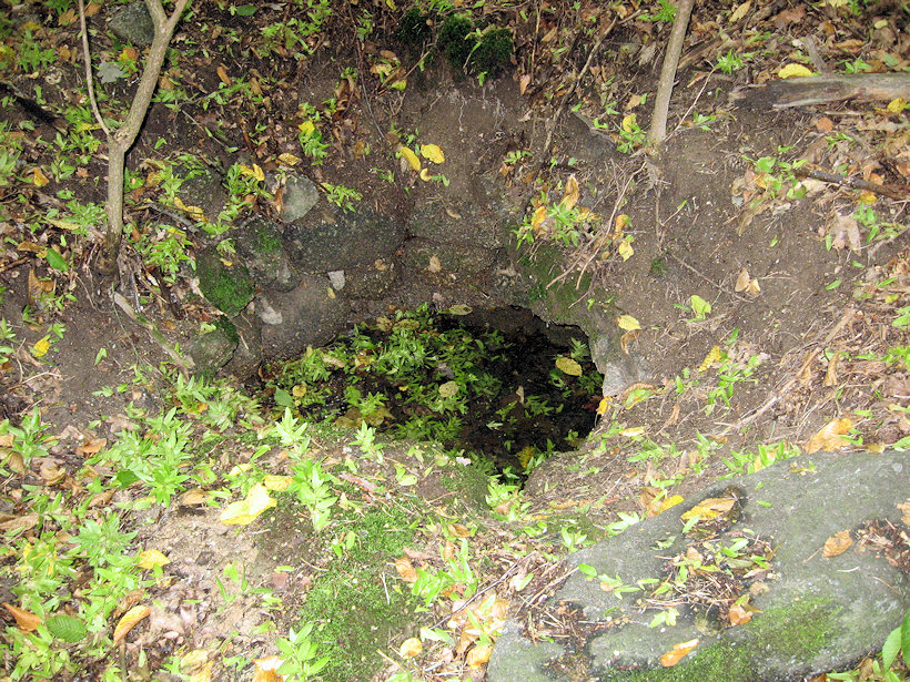 studánka Kněz u Hrazan (4204) - listopad 2010