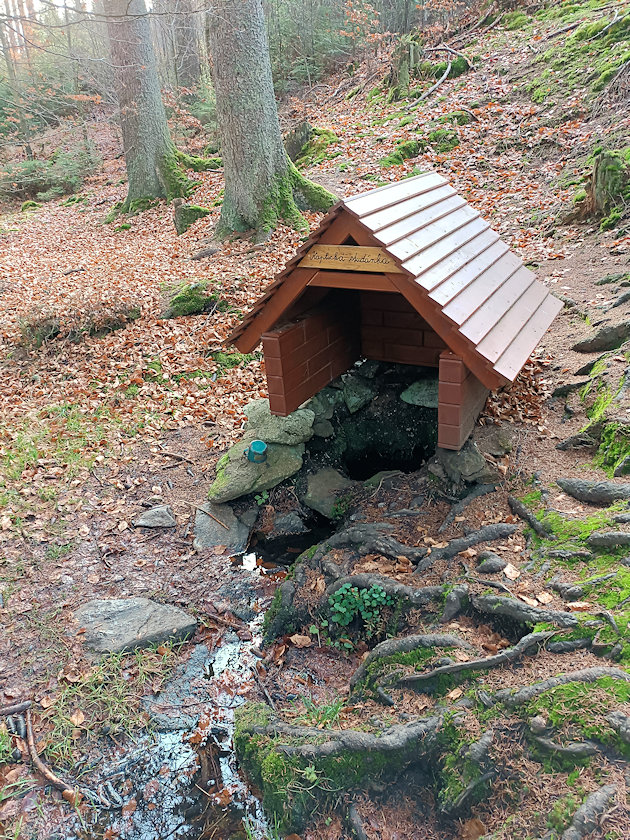 Kaplická studánka (4206) - listopad 2022