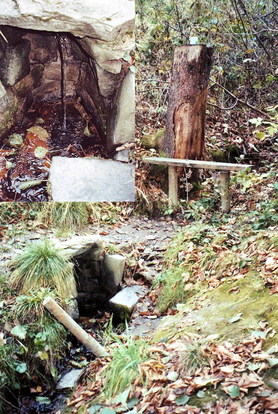 studánka V Napajedlách (4221) - listopad 2010