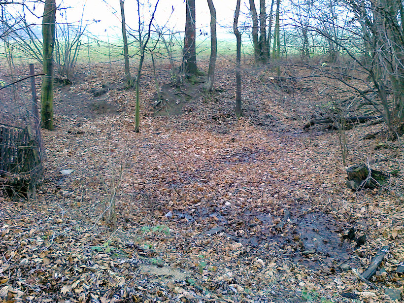 prameniště Kopaniny (4241) - listopad 2010