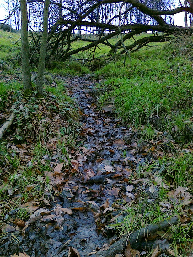 prameniště Skalka (4243) - listopad 2010