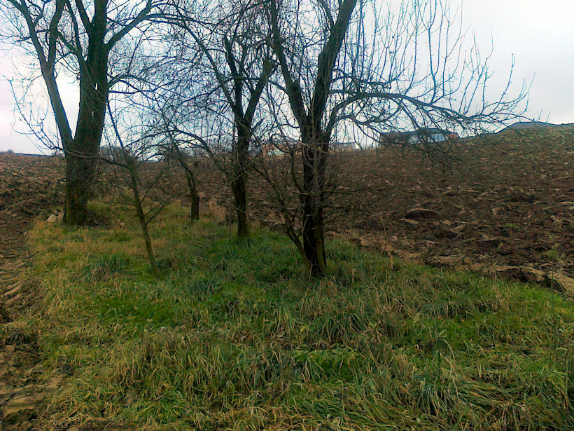 prameniště Zahumení (4260) - listopad 2010