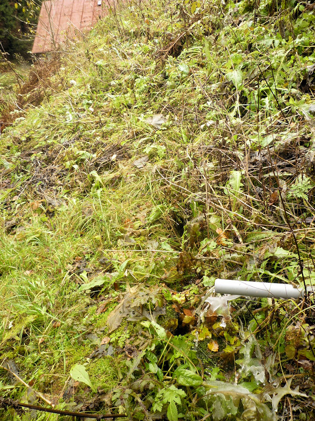 studánka U dvou panenek (4269) - prosinec 2010