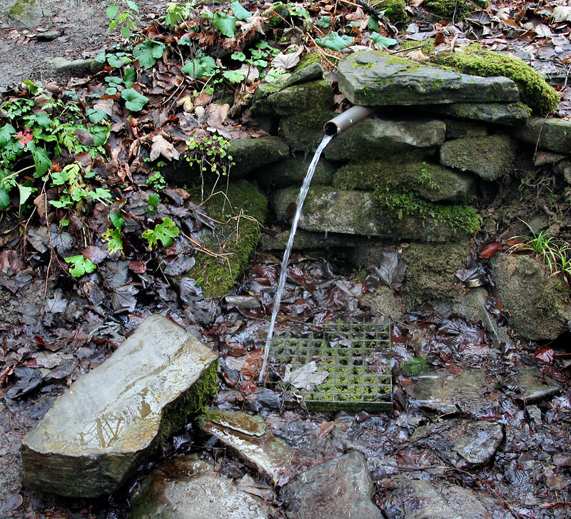 studánka U Vesníku (4274) - prosinec 2010