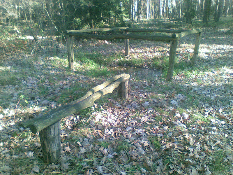 studánka Studnička (4275) - prosinec 2010