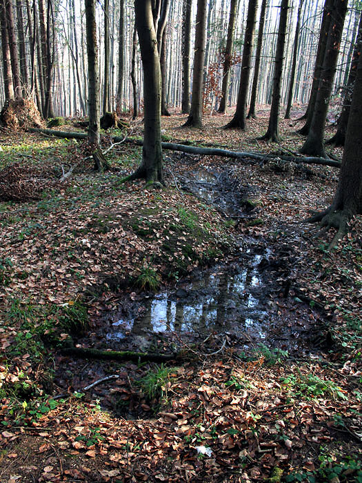 pramen Na Uhliskách (4277) - prosinec 2010