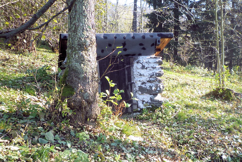 studánka U Květušky (4298) - leden 2011