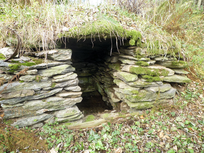 studánka Haltýř (4299) - leden 2011