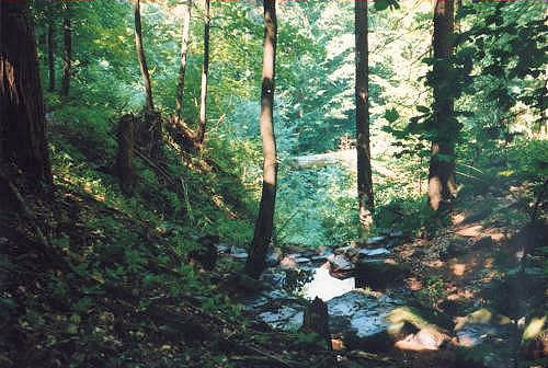 studánka bez jména (4310) - leden 2011
